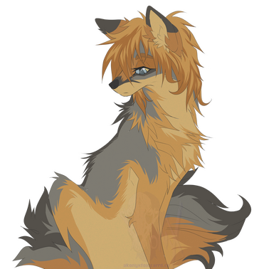 A pretty gray fox sits on his haunches and looks over his shoulder. His face is relaxed and thoughtful.