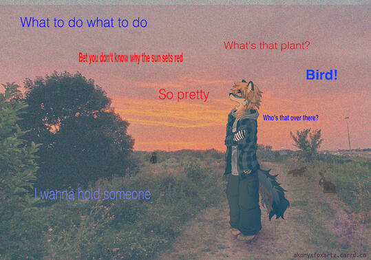 Character (c) AkonyxFox