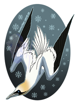 Pixelart of a northern gannet mid-dive. They are superimposed on a slate blue oval background, pixelart snowflakes surrounding the bird.